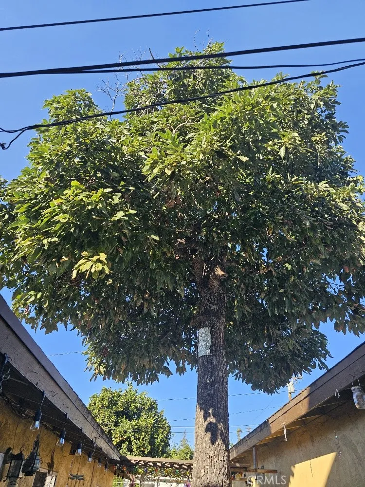 6330 Pierce, Whittier, California 90601 home-pic-6